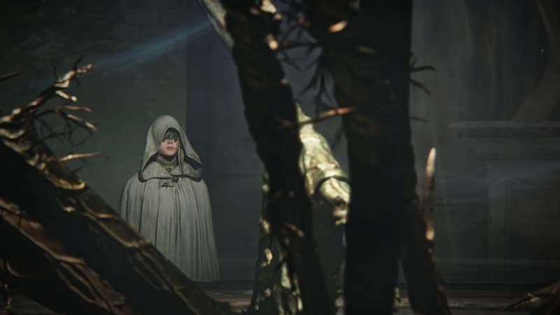 Elden Ring Nightreign patch notes 1.02: Duo expeditions, Relic filtering options, and more